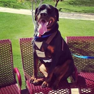 Meet your Posher, Barry